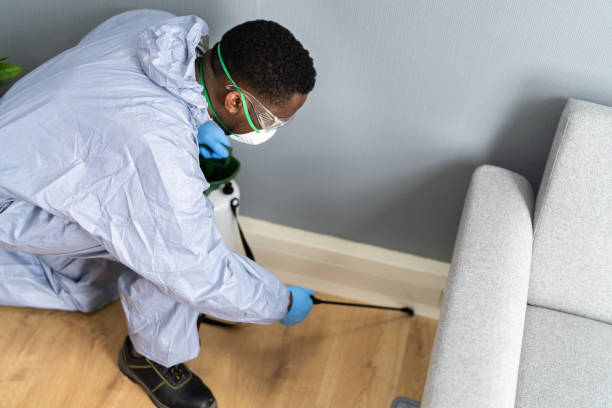 Best Pest Prevention Services  in Euharlee, GA